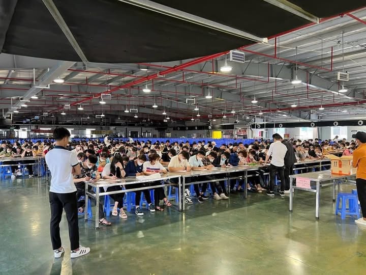 phỏng vấn đi làm